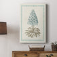 Willow Blue Besler VI - Canvas Art Print