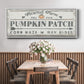 Pumpkin Patch II - Floater Framed Canvas Print