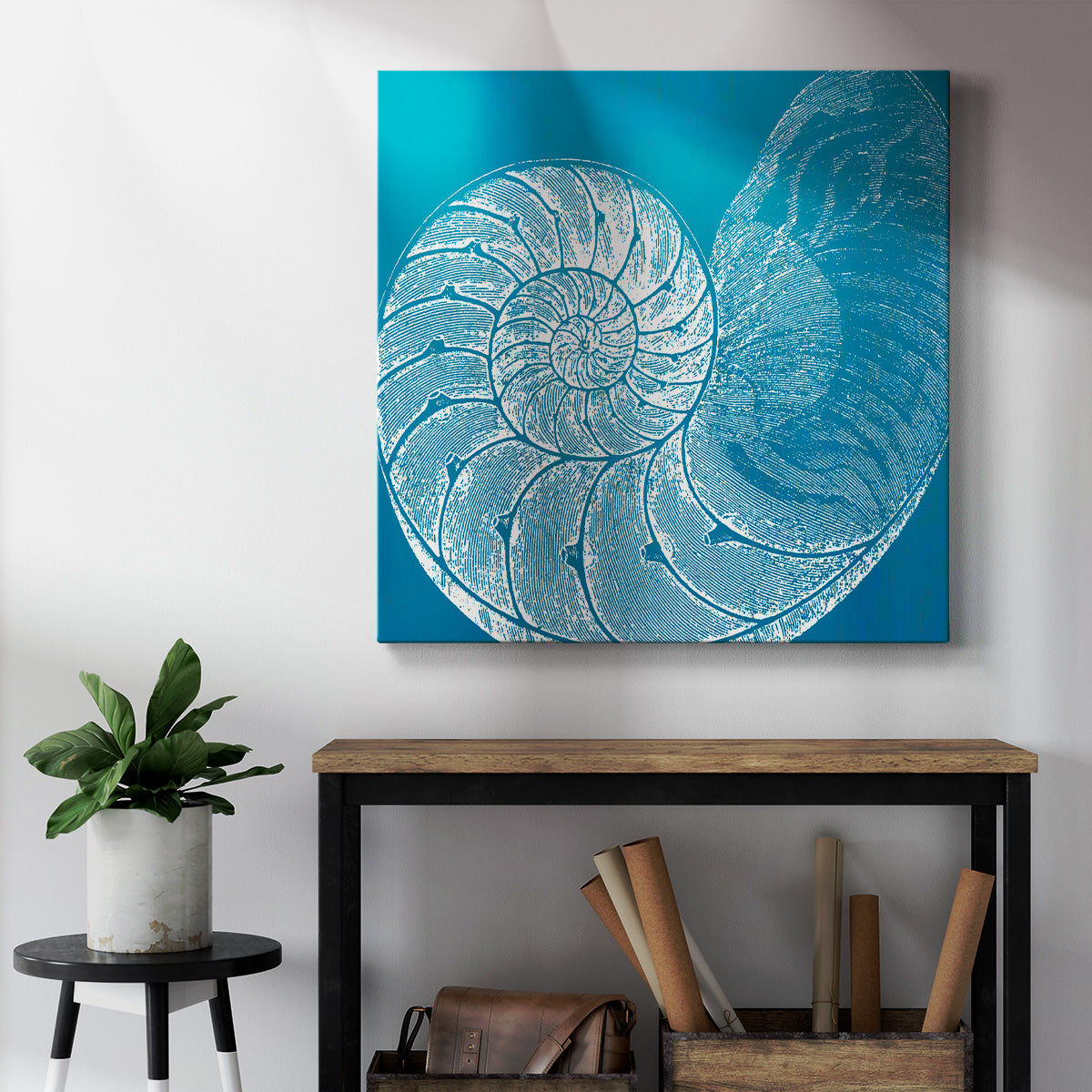 Saturated Shell IV - Canvas Art Print