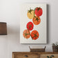 Organic Veg IV - Canvas Art Print