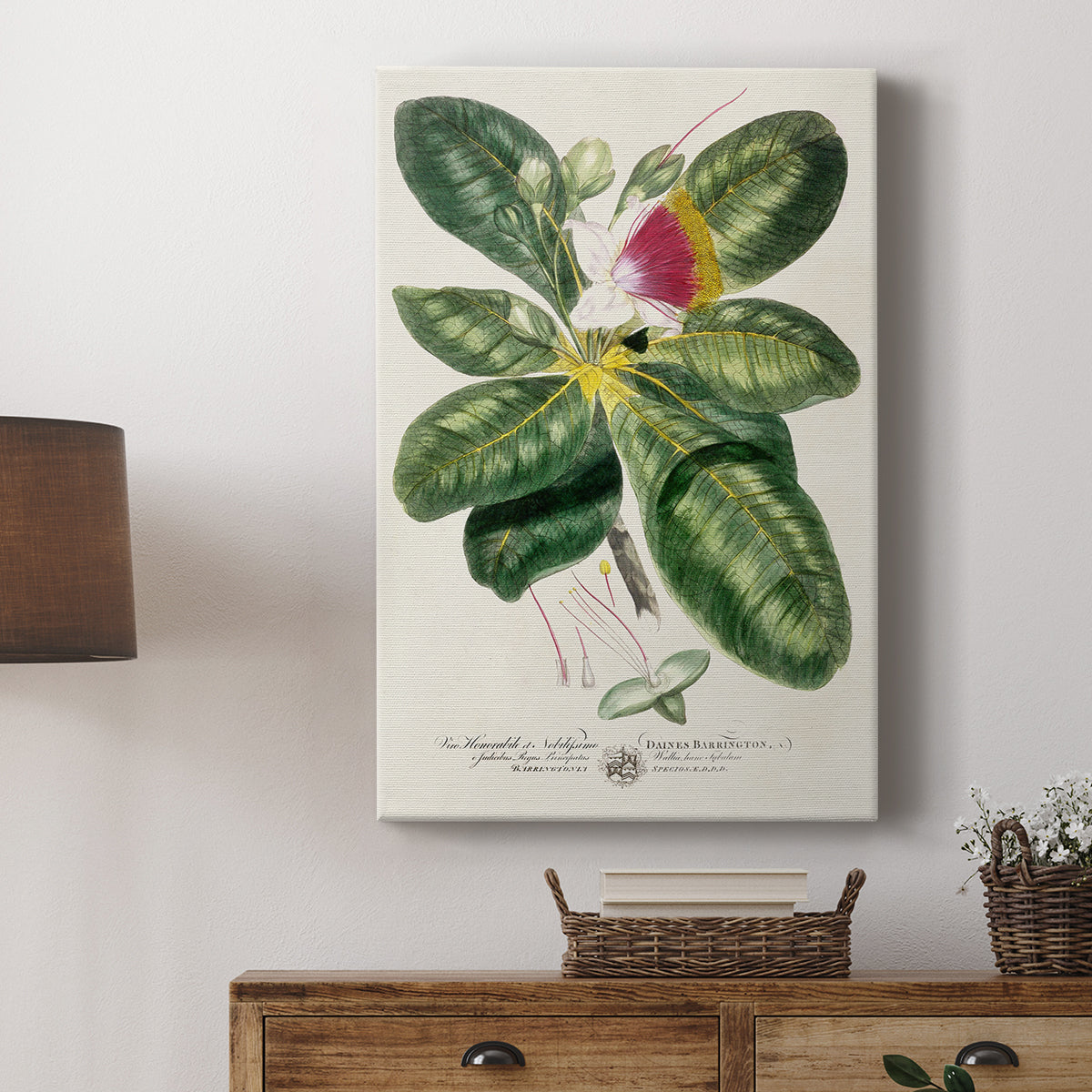 Imperial Tropical Botanical I - Canvas Art Print