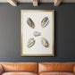 Pastel Knorr Shells III - Modern Framed Canvas Print