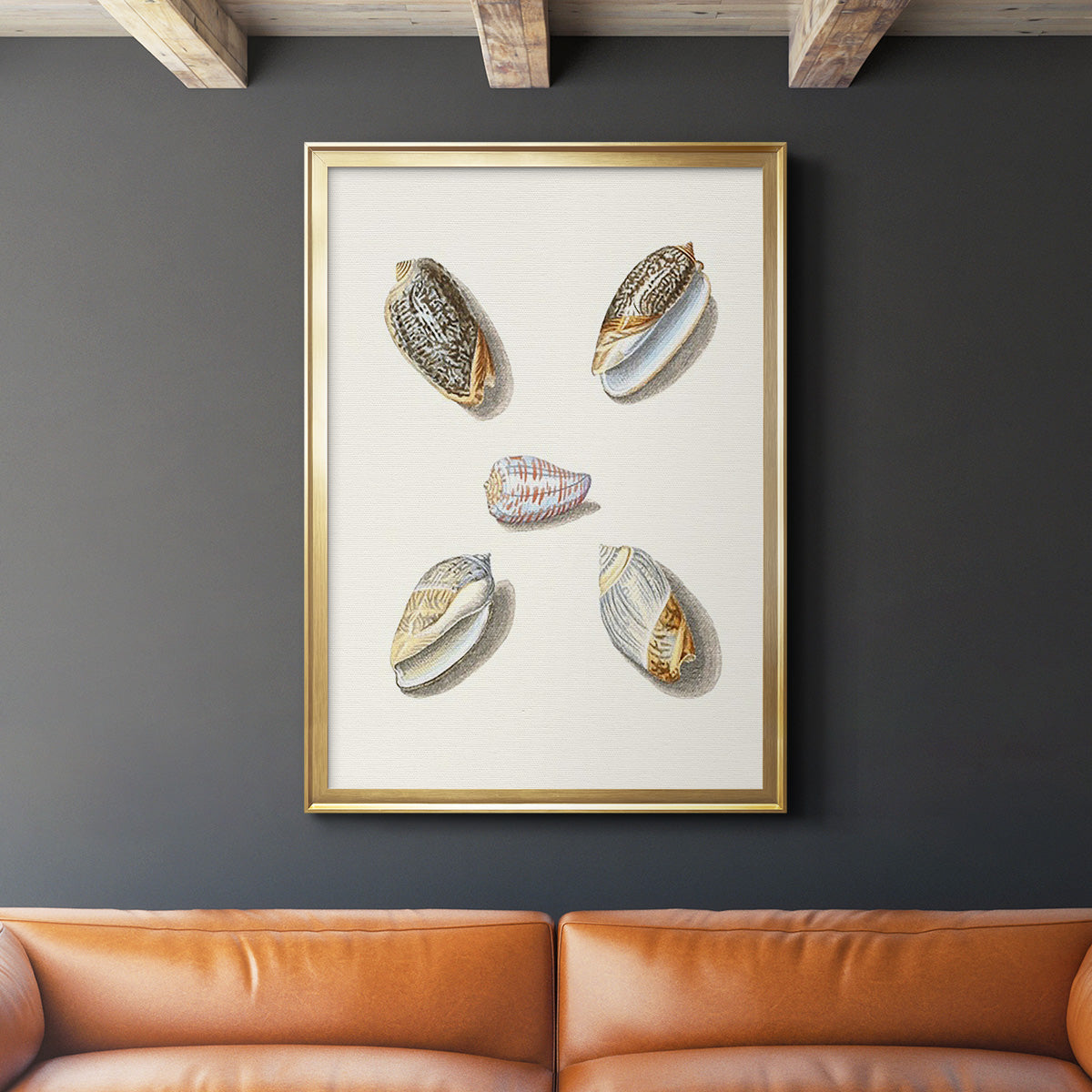 Pastel Knorr Shells III - Modern Framed Canvas Print