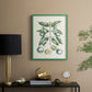 Buchoz Tropicals VII - Restickable Framed Art Print