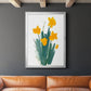 Daffodil Bunch II - Modern Framed Canvas Print