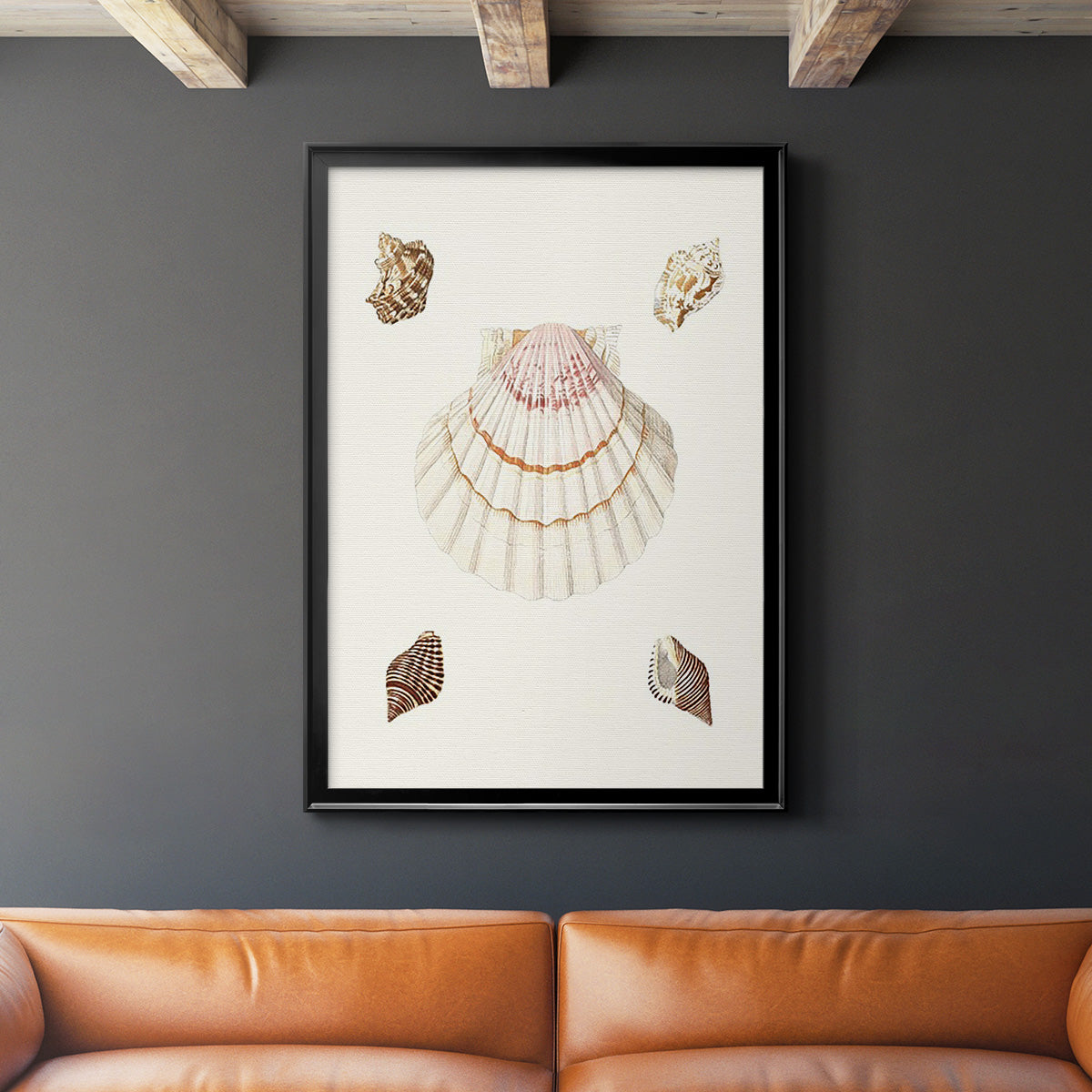 Pastel Knorr Shells IV - Modern Framed Canvas Print