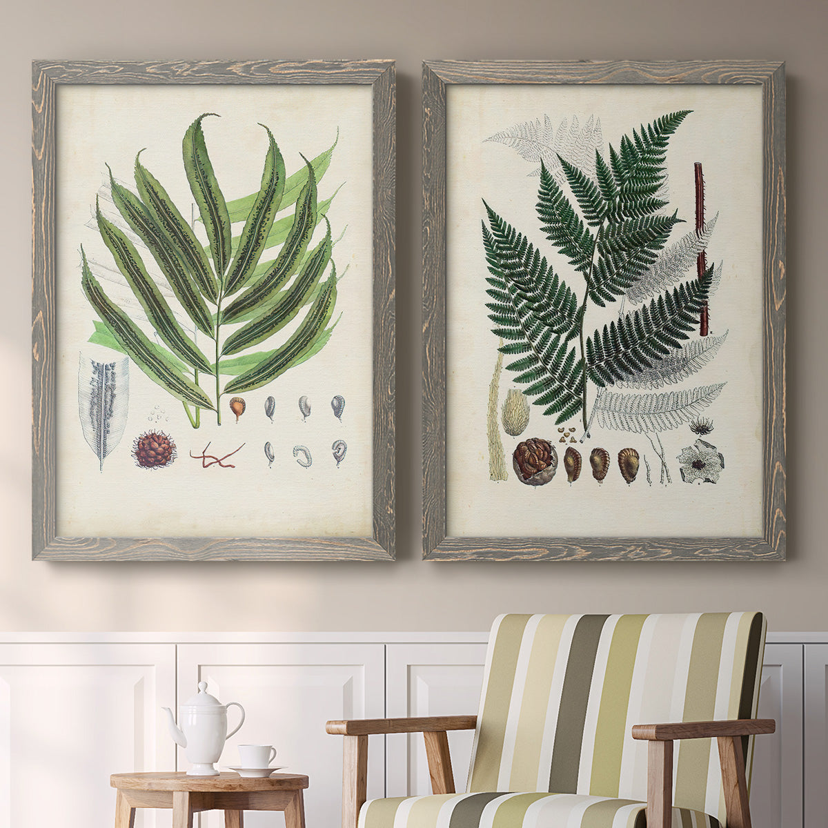 Set of two gray barnwood framed canvas prints depicting two natural-history fern plates featuring vintage fern specimens with botanical details above a sideboard in a cozy sitting room.