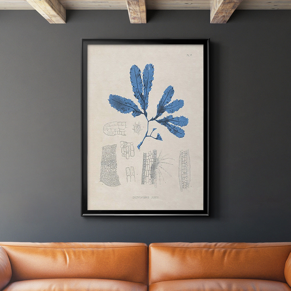 Blue Marine Algae VII - Modern Framed Canvas Print