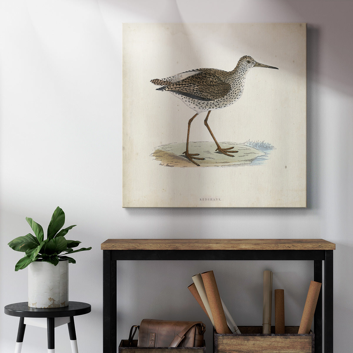 Morris Sandpipers V - Canvas Art Print