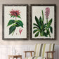 Set of two black barnwood framed canvas prints depicting two antique botanical plate illustrations featuring colorful flowering plant specimens above a sideboard in a cozy sitting room.