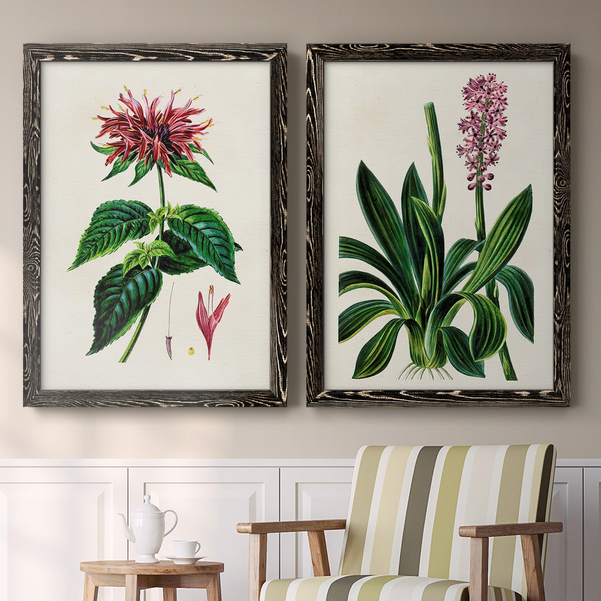 Set of two black barnwood framed canvas prints depicting two antique botanical plate illustrations featuring colorful flowering plant specimens above a sideboard in a cozy sitting room.