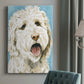 Labradoodle II - Canvas Art Print