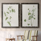 Wispy Botanical I - Premium Framed Canvas 2 Piece Set - Ready to Hang