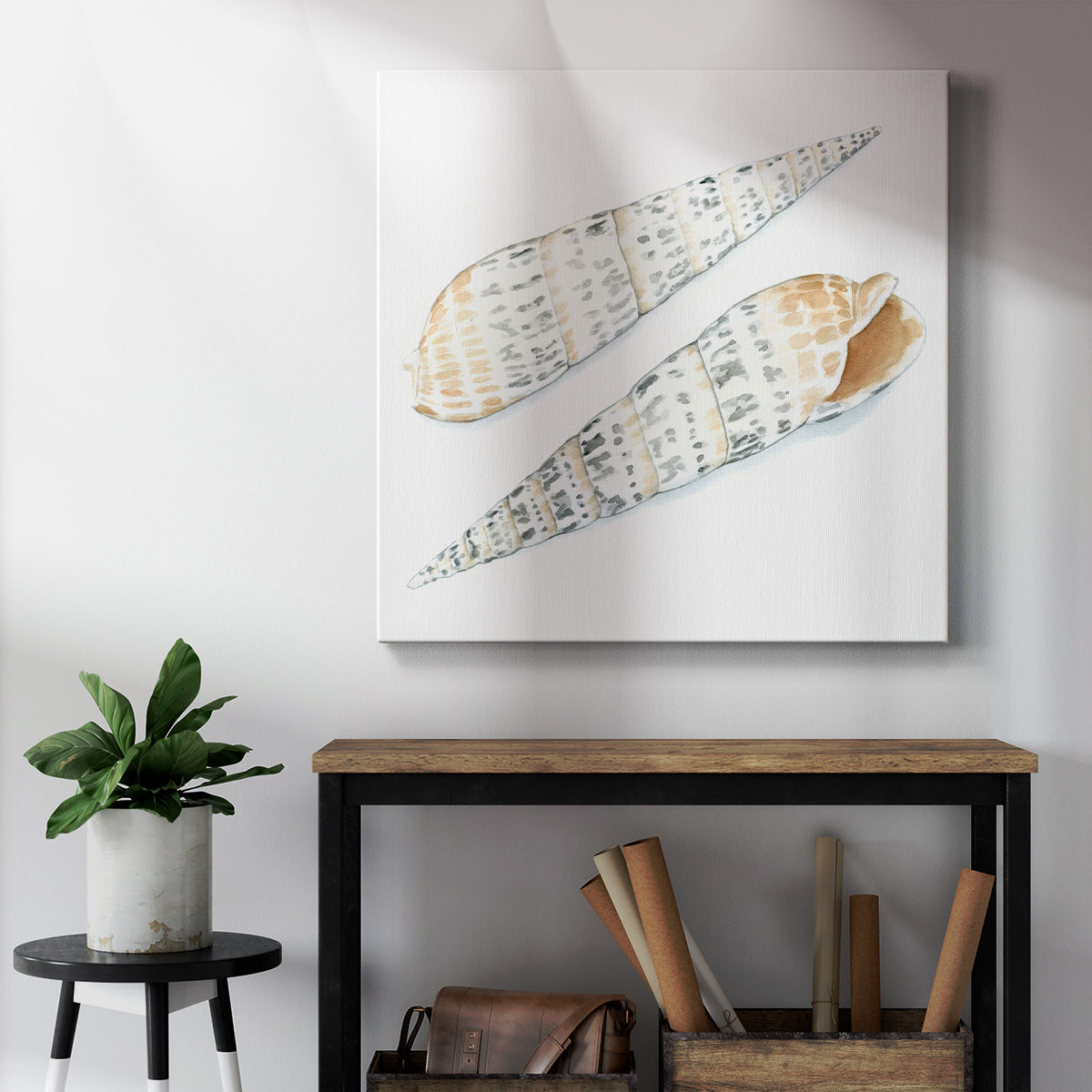 Watercolor Shells IX-Premium Gallery Wrapped Canvas - Ready to Hang