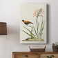 Southern Red Bishop and Gladiolus, c. 1822 - Canvas Art Print