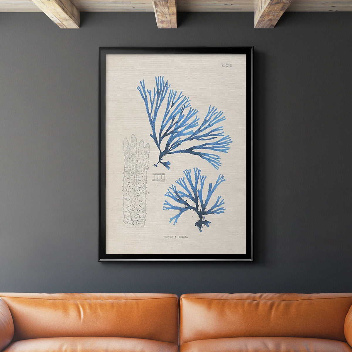 Blue Marine Algae V - Modern Framed Canvas Print