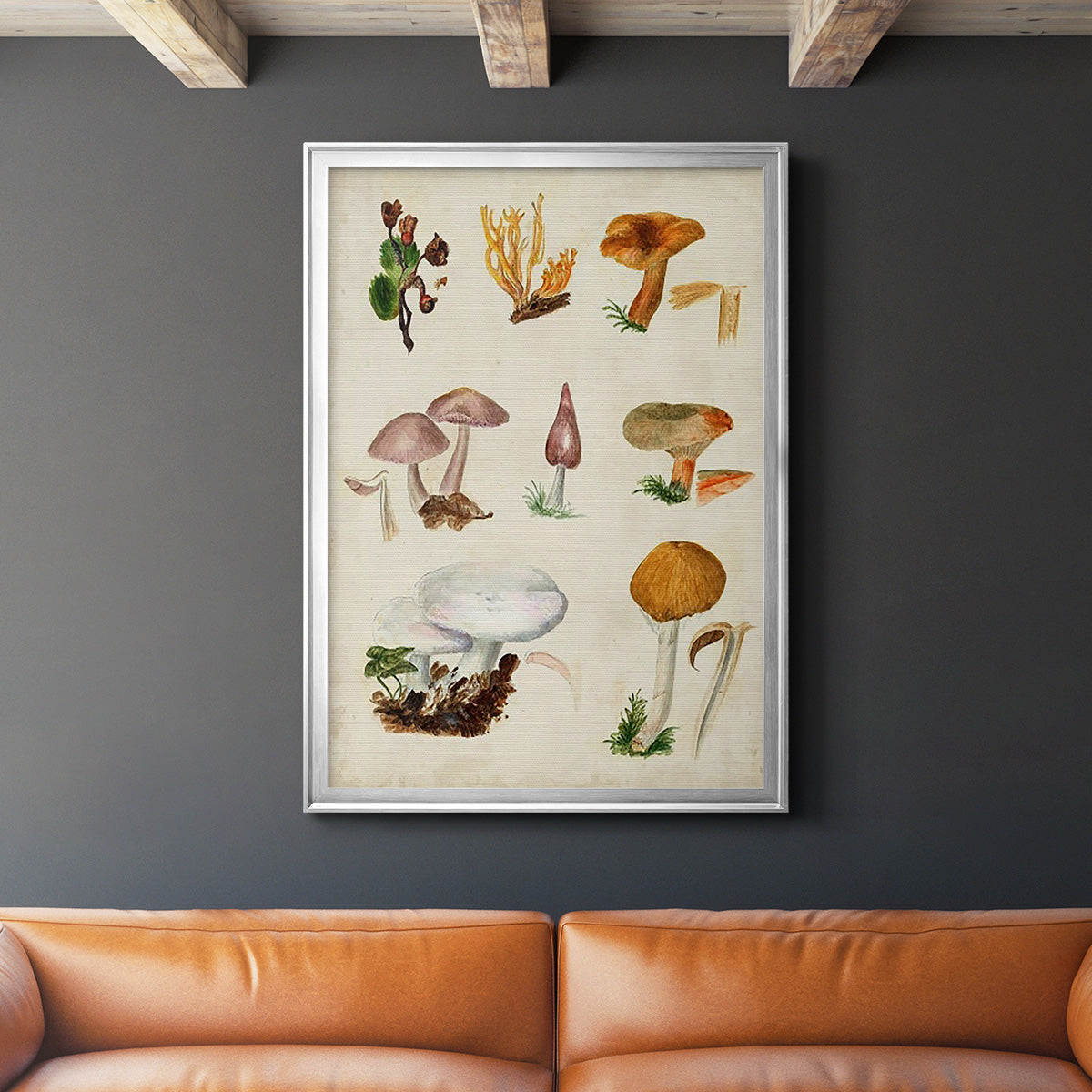 Mushroom Species VI - Modern Framed Canvas Print