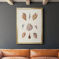 Knorr Shells & Coral VI - Modern Framed Canvas Print