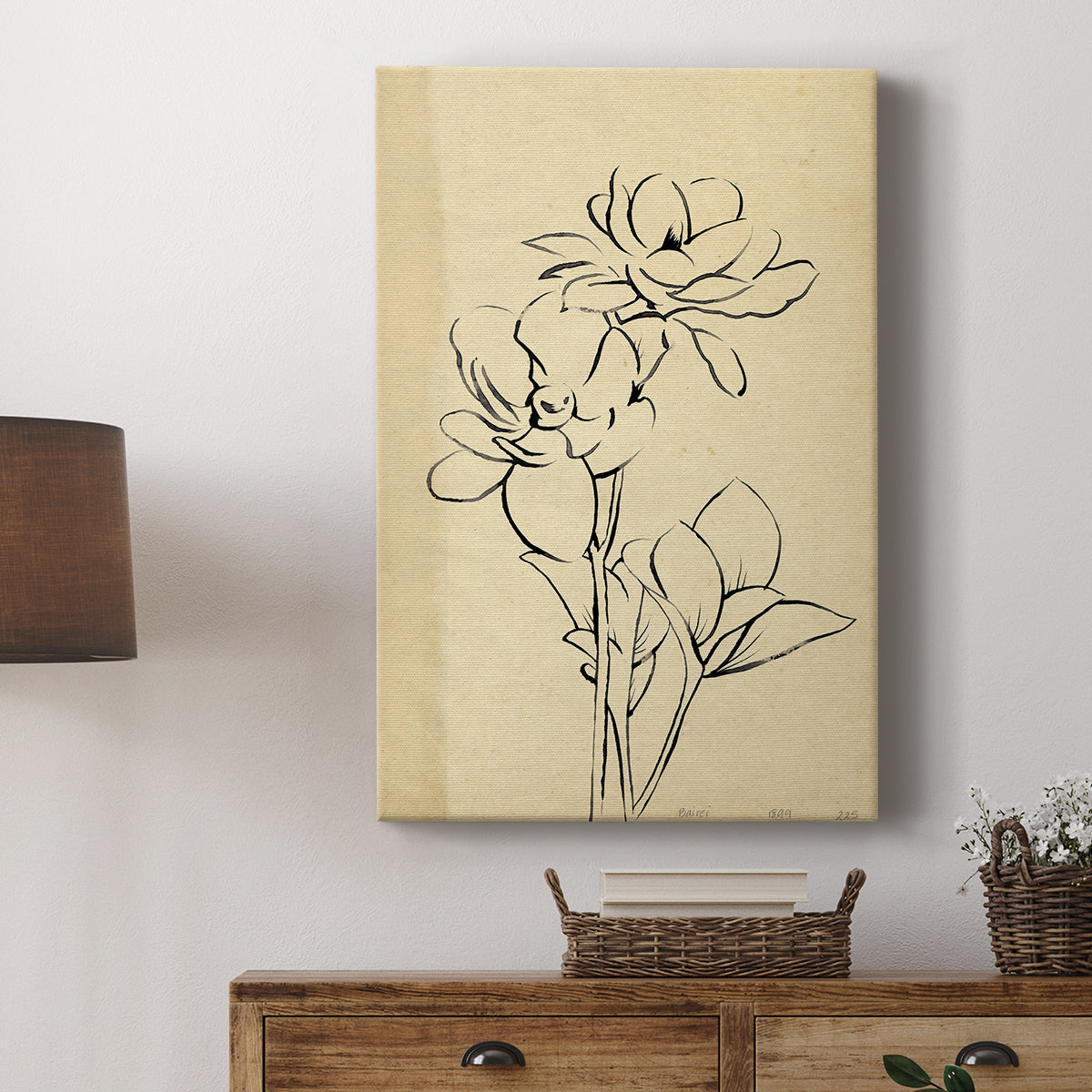 Magnolia Sketch II - Canvas Art Print