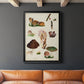 Mushroom Species IX - Modern Framed Canvas Print