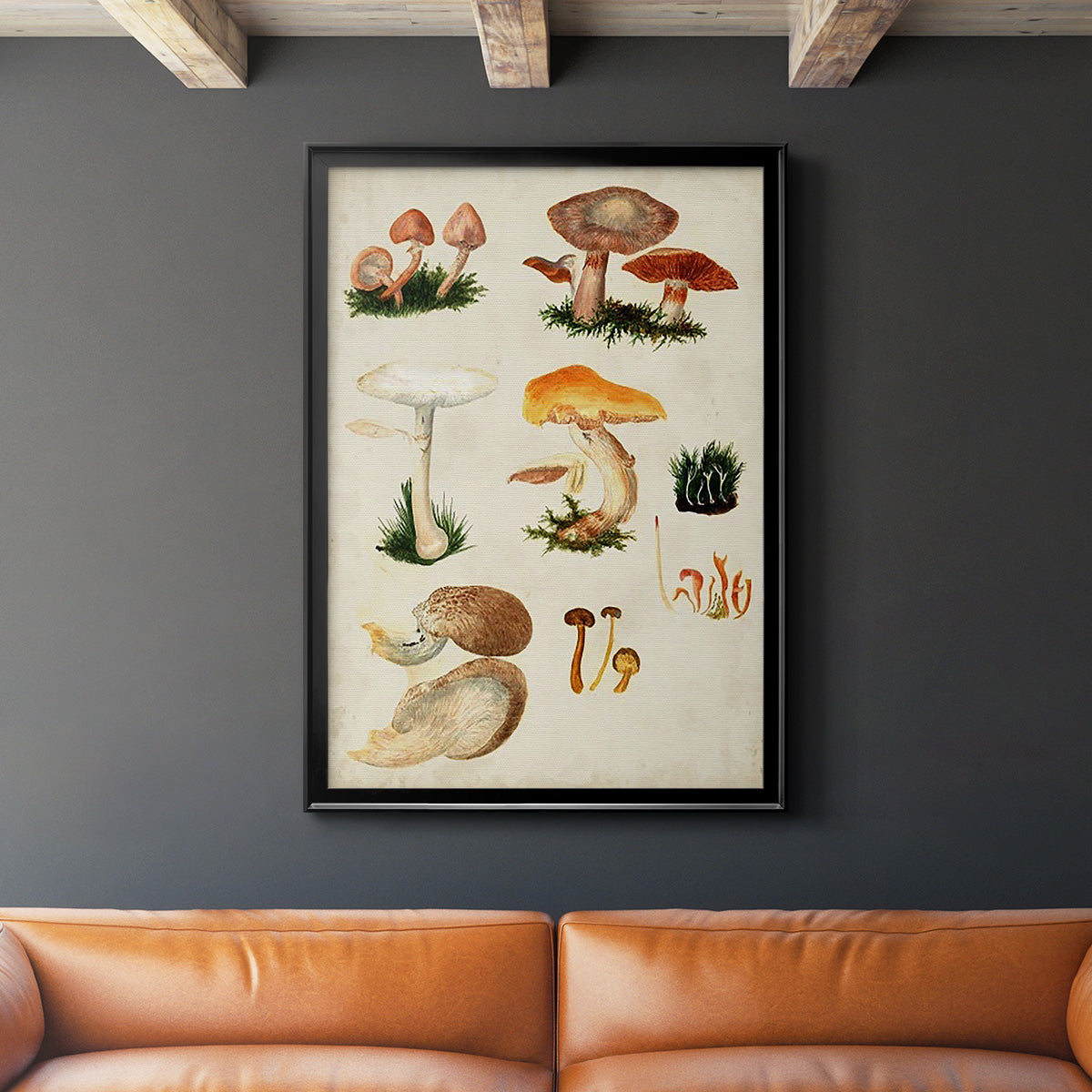 Mushroom Species IV - Modern Framed Canvas Print