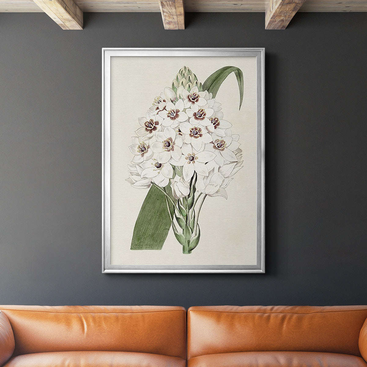 Flore Albo II - Modern Framed Canvas Print