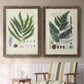 Set of two walnut barnwood framed canvas prints depicting two natural-history fern plates featuring vintage fern specimens with botanical details above a sideboard in a cozy sitting room.