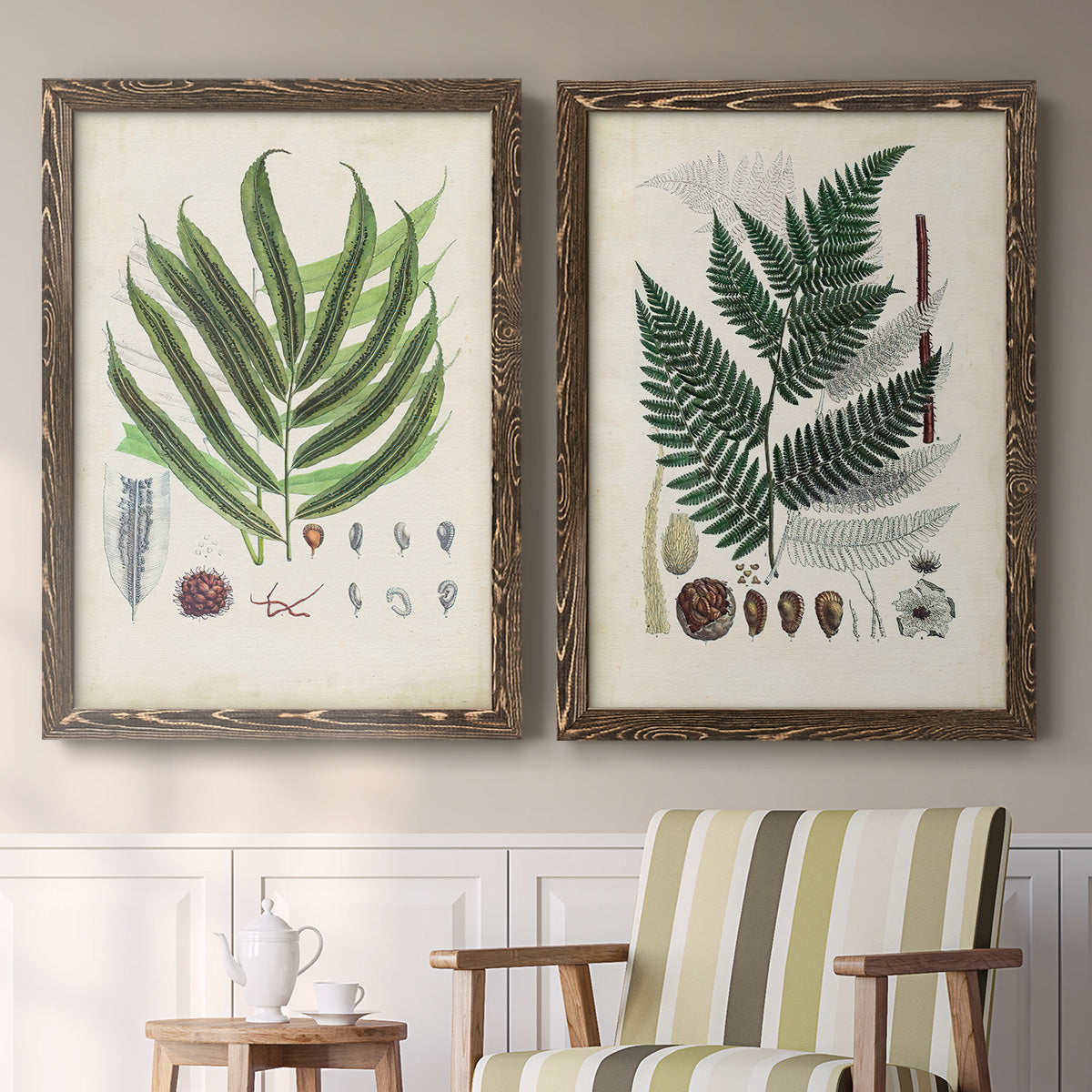 Set of two walnut barnwood framed canvas prints depicting two natural-history fern plates featuring vintage fern specimens with botanical details above a sideboard in a cozy sitting room.