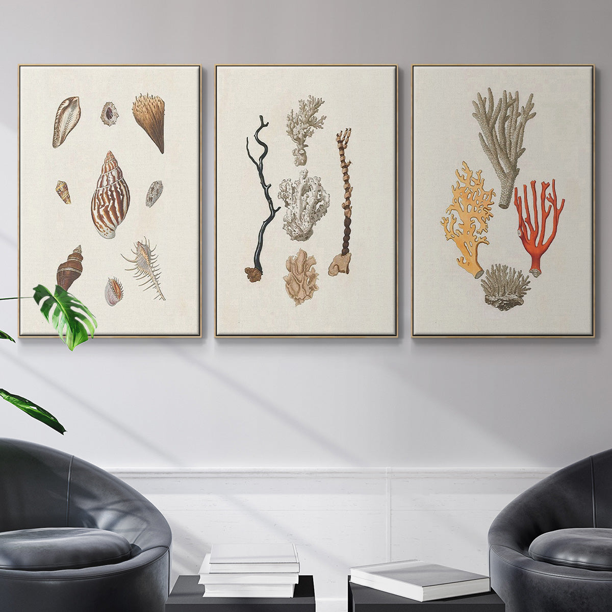 Knorr Shells & Coral IV - Framed Premium Gallery Wrapped Canvas L Frame 3 Piece Set - Ready to Hang