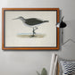 Morris Sandpipers VI Premium Framed Canvas- Ready to Hang