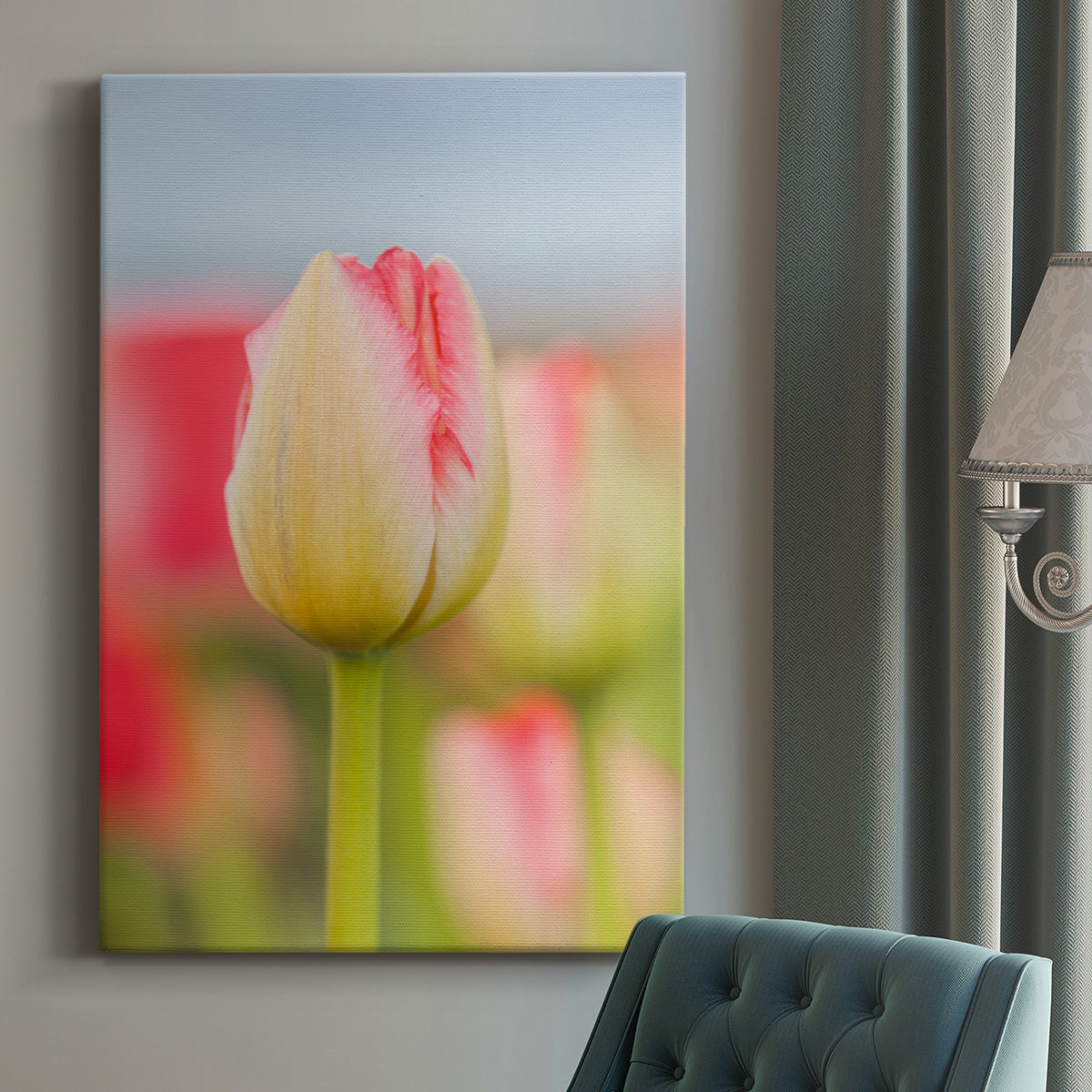 Twotone Tulip Premium Gallery Wrapped Canvas - Ready to Hang