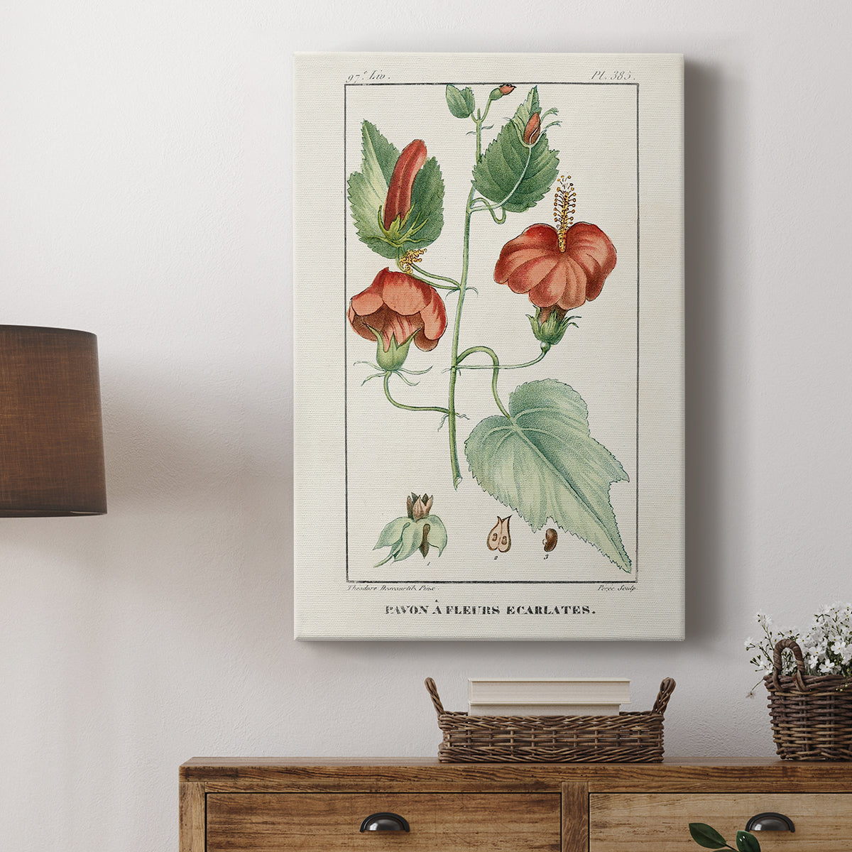 Turpin Tropical Botanicals IV - Canvas Art Print