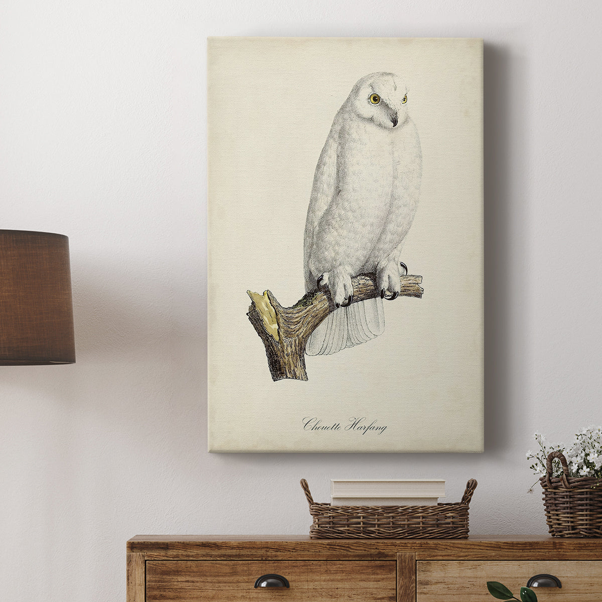 French Owls IV - Canvas Art Print