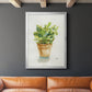 Succulent I - Modern Framed Canvas Print