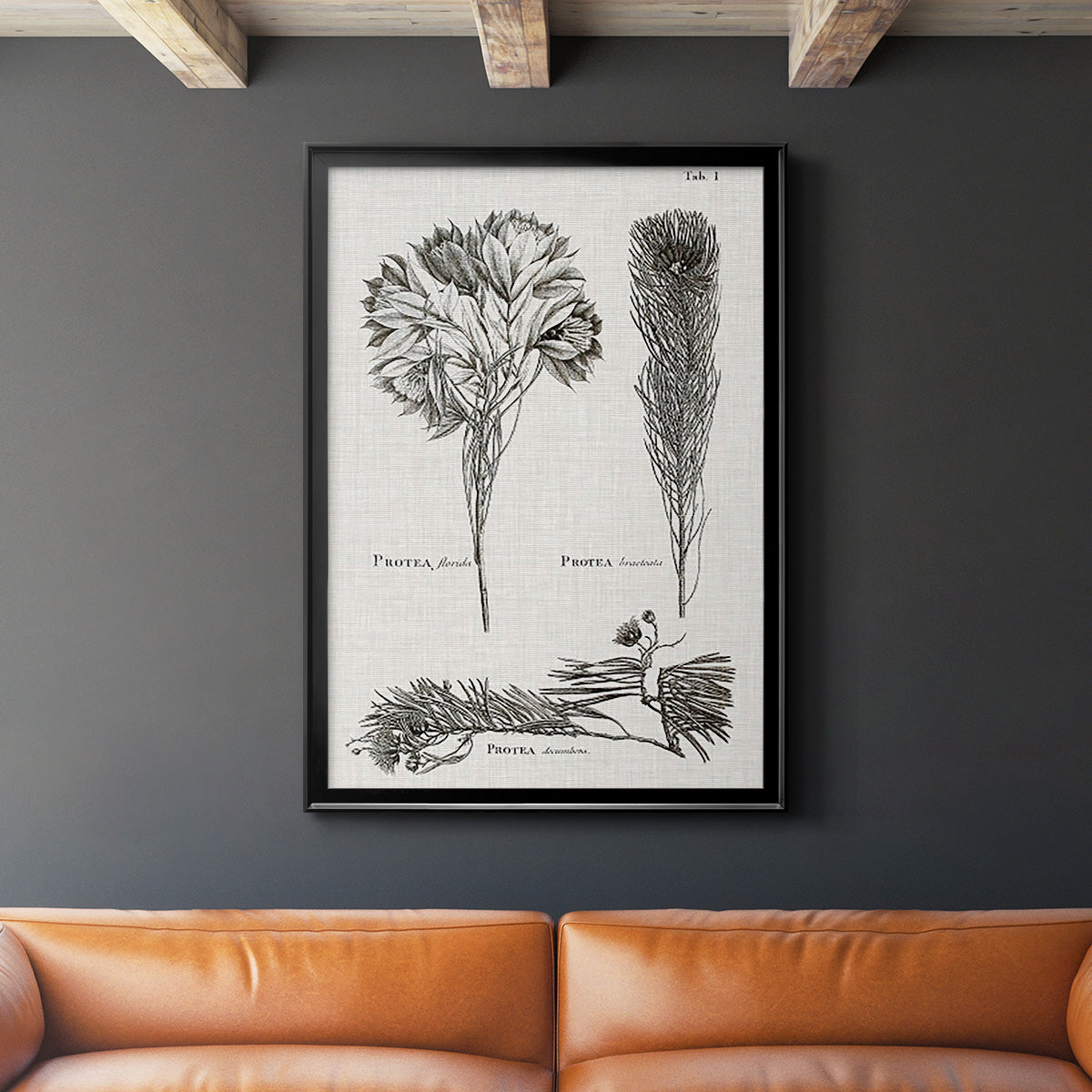 Black & White Protea on Linen I - Modern Framed Canvas Print