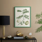 Buchoz Tropicals II - Restickable Framed Art Print