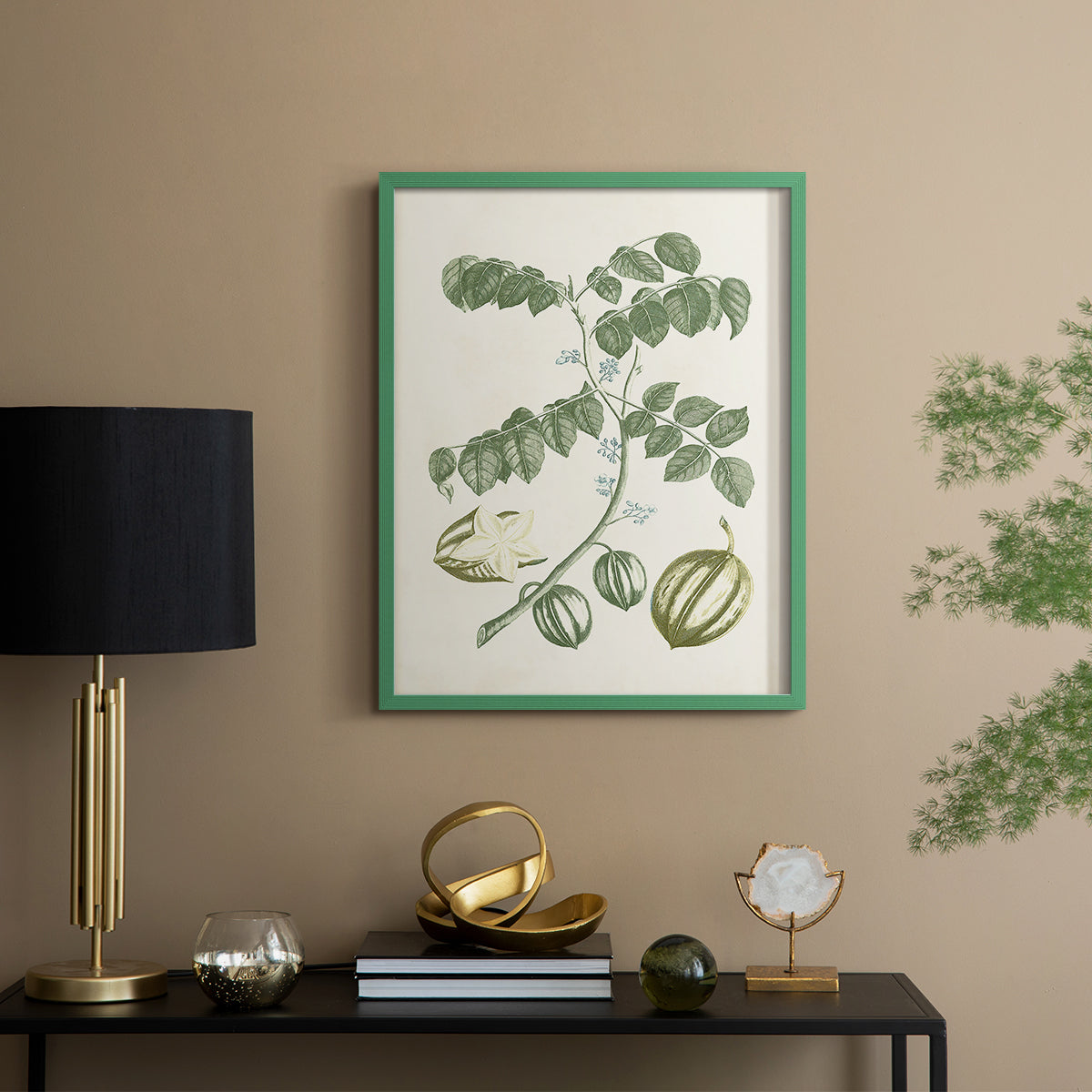 Buchoz Tropicals II - Restickable Framed Art Print