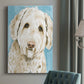 Labradoodle I - Canvas Art Print