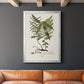 Botanical Society Ferns VI - Modern Framed Canvas Print