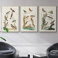 Antique Birds in Nature I - Framed Premium Gallery Wrapped Canvas L Frame 3 Piece Set - Ready to Hang