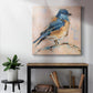 Bird Variety III-Premium Gallery Wrapped Canvas - Ready to Hang