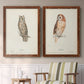 Scops- Eared Owl - Premium Framed Canvas 2 Piece Set - Ready to Hang