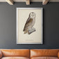 French Owls V - Modern Framed Canvas Print