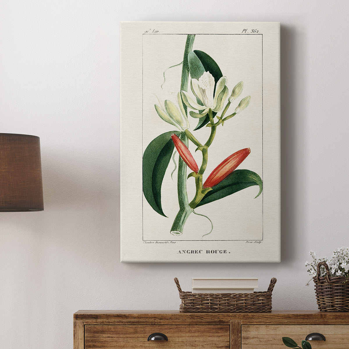 Turpin Tropical Botanicals IX - Canvas Art Print