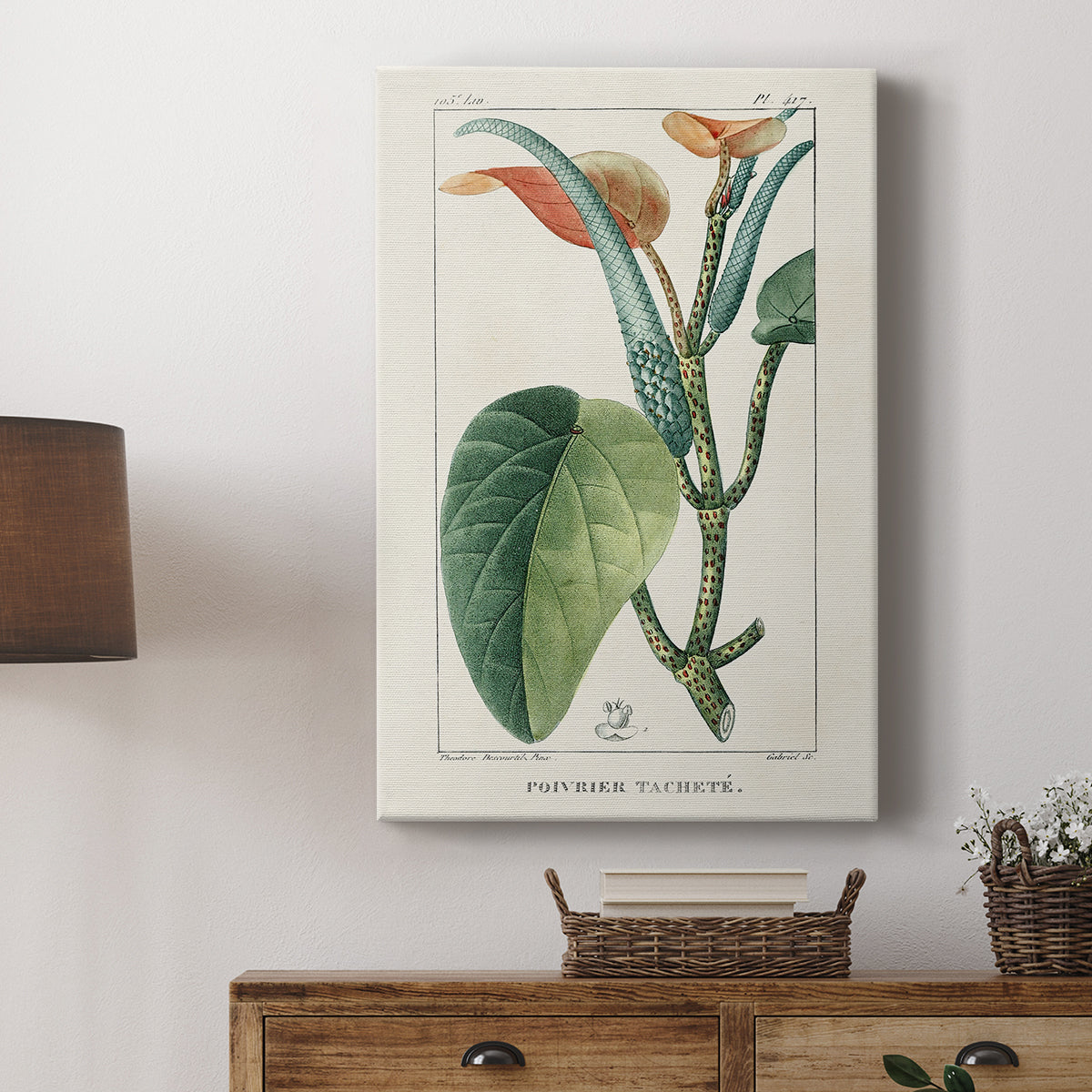 Turpin Tropical Botanicals II - Canvas Art Print