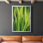 Blades of Grass II - Modern Framed Canvas Print