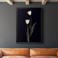 Tulip Pose II - Modern Framed Canvas Print