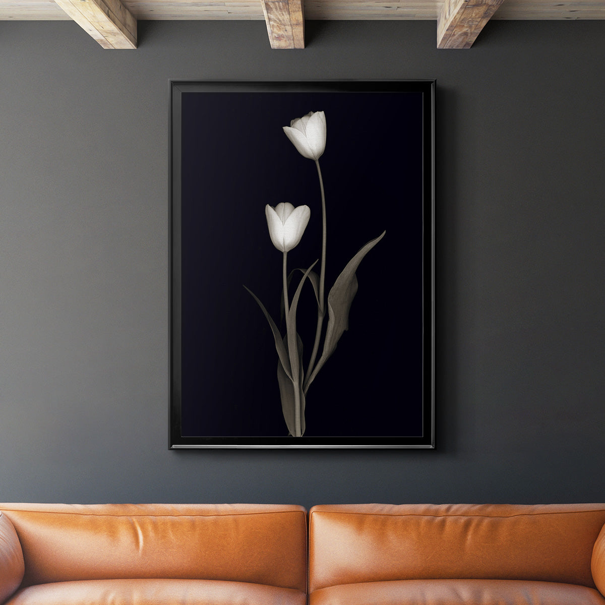 Tulip Pose II - Modern Framed Canvas Print