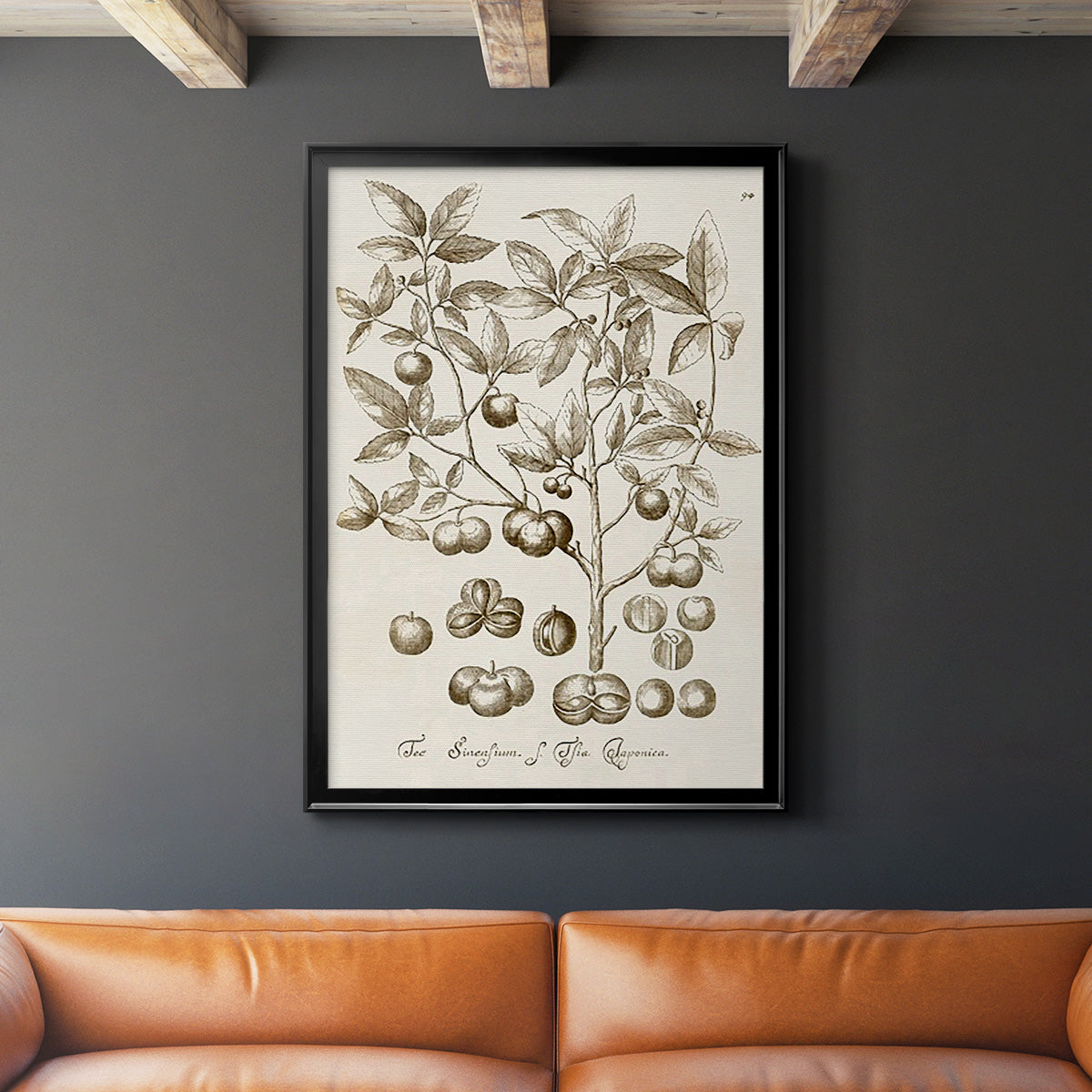 Sepia Botanical Journal II - Modern Framed Canvas Print