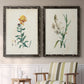 Traditional Botanical III - Premium Framed Canvas 2 Piece Set - Ready to Hang